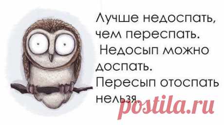 Люблю проснуться в пять утра... И размышлять: &quot;какого фига?!&quot;