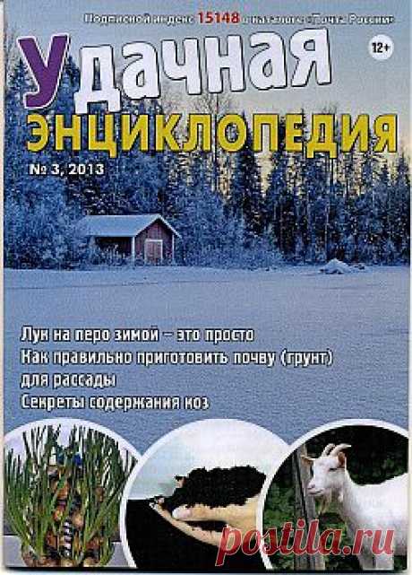 Удачная энциклопедия № 3 2013.