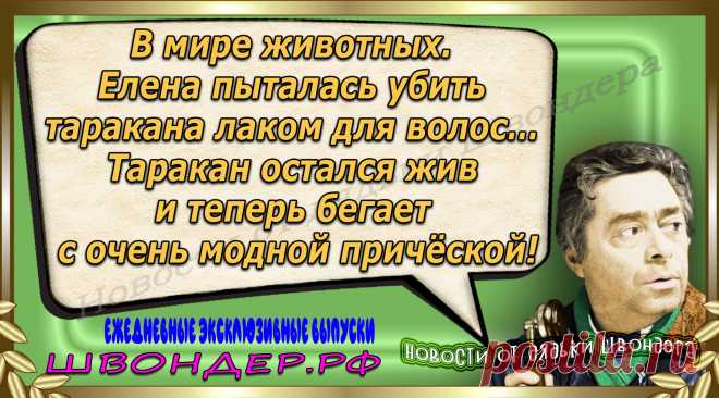 Новости от дядьки Швондера, классный анекдот, смешная фраза, веселая фенечка, каламбур, афоризмы, смех, забавные картинки, сложный юмор, непонятные анекдоты, цитаты из интернета, мэмчик, развлечение, Швондер говорит, Шариков, Собачье сердце, улыбка до ушей, веселый сайт, забава, смешарик, мем, потеха, картинка со смыслом, фарс, наколка, мемасик, шутка, юмор, анекдоты в картинках, юмор в картинках, свежие приколы, Швондер, смешная фишка, улыбка, интересное в сети, смех, швондер.рф, #швондер.рф