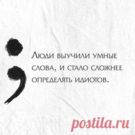 Книжная полка