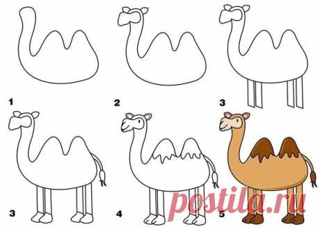 Уроки рисования: как нарисовать верблюда, тигра, слона, корову, пингвина, овечку, собаку, олбезьяну - Поделки с детьми | Деткиподелки