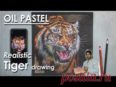 How to Draw A Realistic Tiger Face in Oil Pastel | step by step | Supriyo