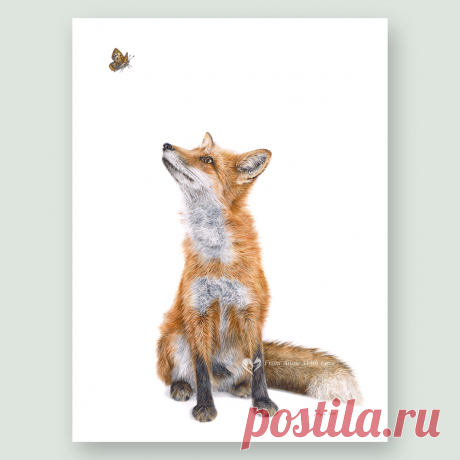 Fluttering Heights - Red Fox wildlife art print by pencil artist Angie Buy limited edition prints and original wildlife art by pencil artist Angie, including beautiful Fox portrait 'Fluttering Heights'. Secure online ordering.