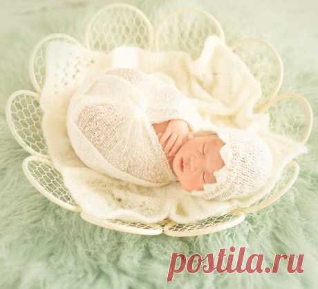 prop рукава Picture - More Detailed Picture about Chic Newborn Basket Baby Nest Photography Props,High Quality Iron Baby Seats Flower Pattern,Baby Posing Prop,#P0282 Picture in Детские кресла и диваны from Alin Children Boutique | Aliexpress.com | Alibaba Group