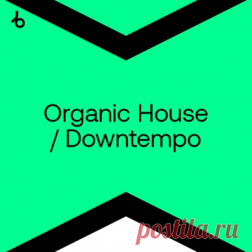 BEATPORT Top 100 Organic House & Downtempo May 2024 - HOUSEFTP