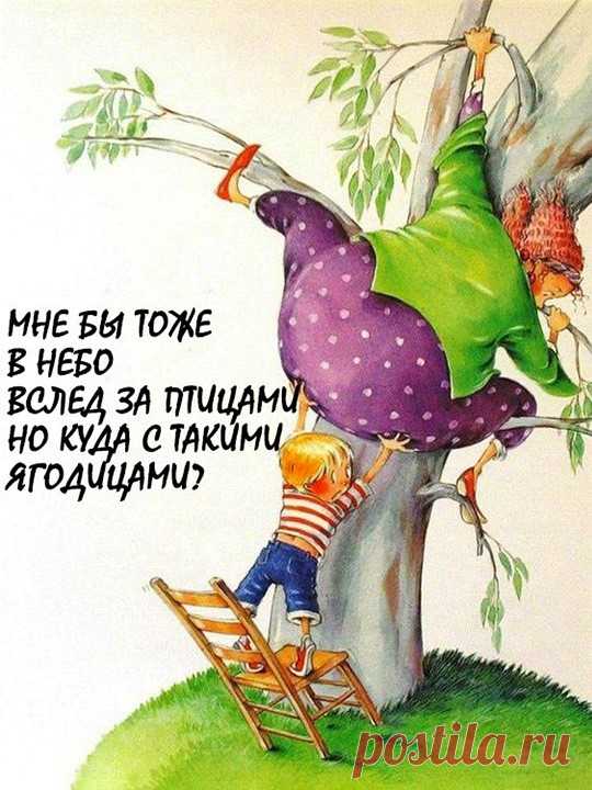Мне бы тоже в небо за птицами (открытка 1065): Бесплатные картинки &#8226; Otkrytki.Top
