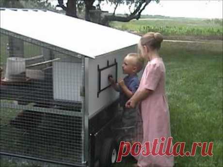 The Egg Cart'n Chicken Tractor - YouTube