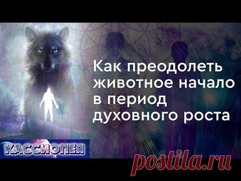 Как преодолеть животное начало в период духовного роста. Практика соединения с Высшим Я.Ченнелинг c Ириной Подзоровой. Внеземные цивилизации отвечают на вопросы Юрия Ковалёва о духовном развитии. Как поменять общественное сознание? Борьба эгрегоров в период просвещения. Переход от материализма к ощущению Света. 
"...Путь к изменению парадигмы общества, которая сейчас сложилась, это точечная революция сознания. Я призываю вас прислушаться к своей Душе - вы не смертные тела