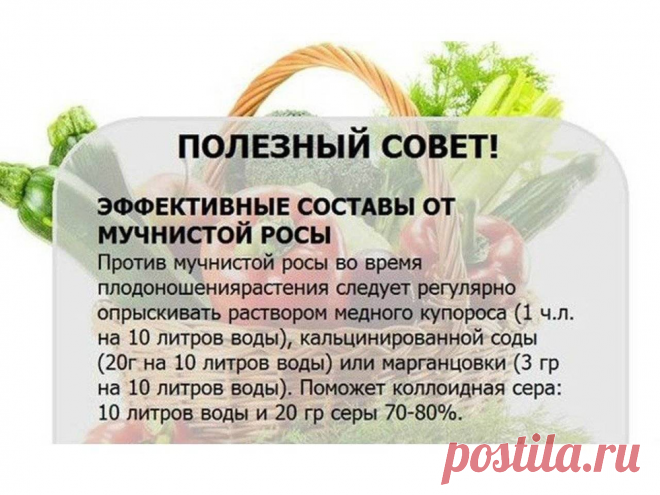 Что такое массажная подушка?

Массажные подушки – это спасение тем, кто часто путешествует или подолгу сидит на работе. Они облегчат жизнь также людям, у которых болит спина или шея. Полноценный массаж подушка не заменит, но поможет мышцам расслабиться, если пользоваться ею каждый день. Уже только это защитит от ряда заболеваний. Некоторые подушки могут даже соперничать с массажистами.