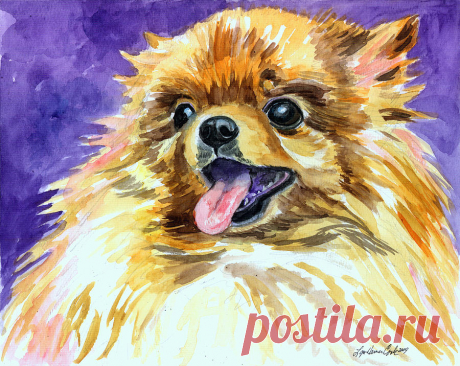 Joyous Soul - Pomeranian by Lyn Cook Joyous Soul - Pomeranian Painting by Lyn Cook
