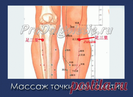 Точки долголетия как массировать | Восточная медицина, омоложение и долголетие