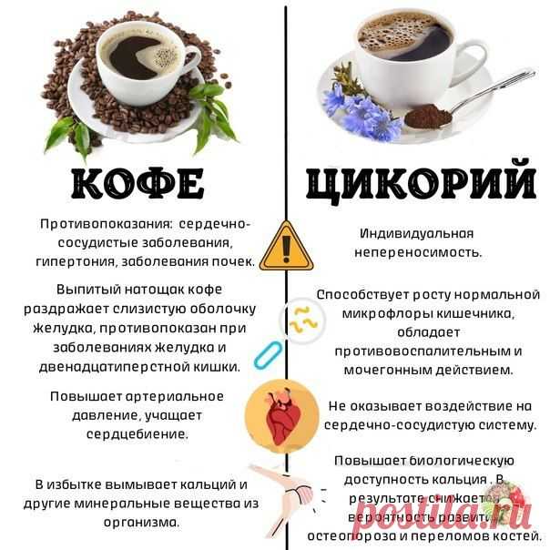 Кофе цикорий польза и вред