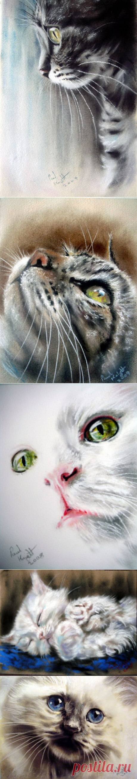 Котоарт от Paul Knight / Котоарт / CATFOTO.COM фотографии кошек и котят, дикие кошки, блоги любителей кошек