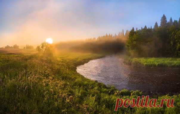 Речной туман на рассвете. Юг Ленинградской области. Автор фото – Федор Лашков: nat-geo.ru/photo/user/27510/