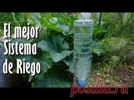 ¡No Riegues Más tus PLANTAS! Aplica este Eficiente SISTEMA de RIEGO