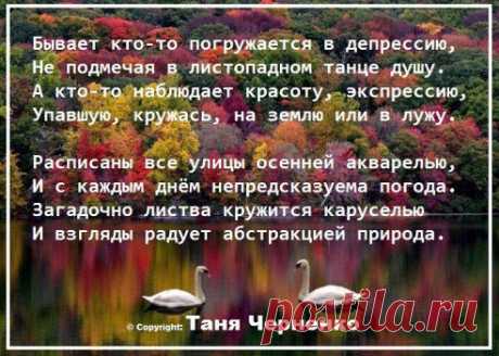 Бывает кто-то погружается в депрессию,
Не подмечая в листопадном танце душу.
А кто-то наблюдает красоту, экспрессию,
Упавшую, кружась, на землю или в лужу.

Расписаны все улицы осенней акварелью,
И с каждым днём непредсказуема погода.
Загадочно листва кружится каруселью
И взгляды радует абстракцией природа.

© Copyright: Таня Черненко
•••

Nikon – Sundayиз Не указан