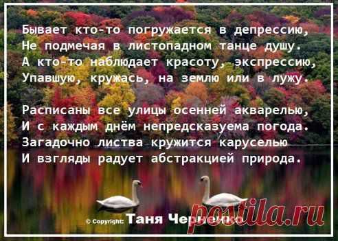 Бывает кто-то погружается в депрессию,
Не подмечая в листопадном танце душу.
А кто-то наблюдает красоту, экспрессию,
Упавшую, кружась, на землю или в лужу.

Расписаны все улицы осенней акварелью,
И с каждым днём непредсказуема погода.
Загадочно листва кружится каруселью
И взгляды радует абстракцией природа.

© Copyright: Таня Черненко
•••

Nikon – Sundayиз Не указан