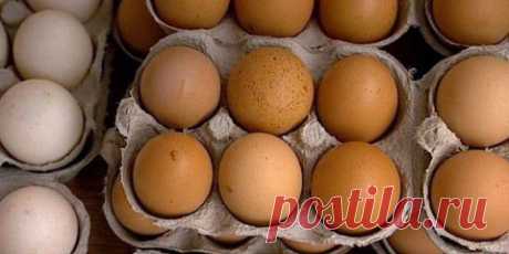 В чем разница между белыми и коричневыми яйцами | Интересное из интернета