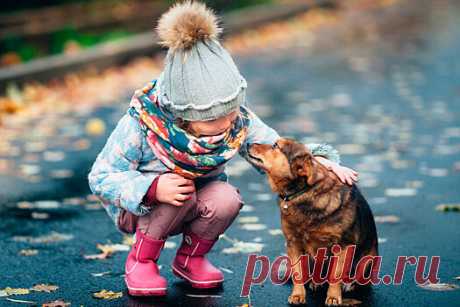 Домашние животные учат детей выражать эмоции | Bixol.Ru