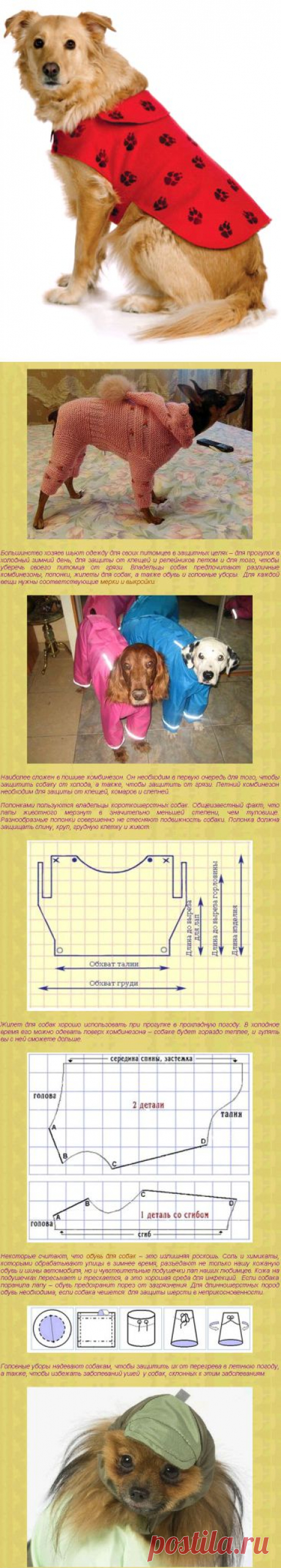 Как сшить одежду для собаки | Выкройки комбинезона и попоны | Мастер классы