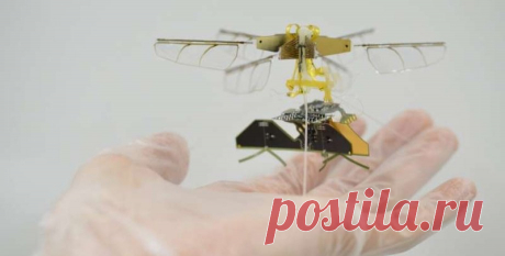 Ученые создали дрон-насекомое: с хлопающими крыльями и без аккумулятора (фото)