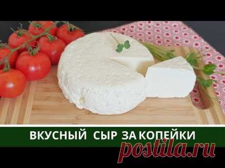 Адыгейский сыр ИЗ МОЛОКА Домашний Сыр за КОПЕЙКИ БЕЗ ФОРМ в домашних условиях