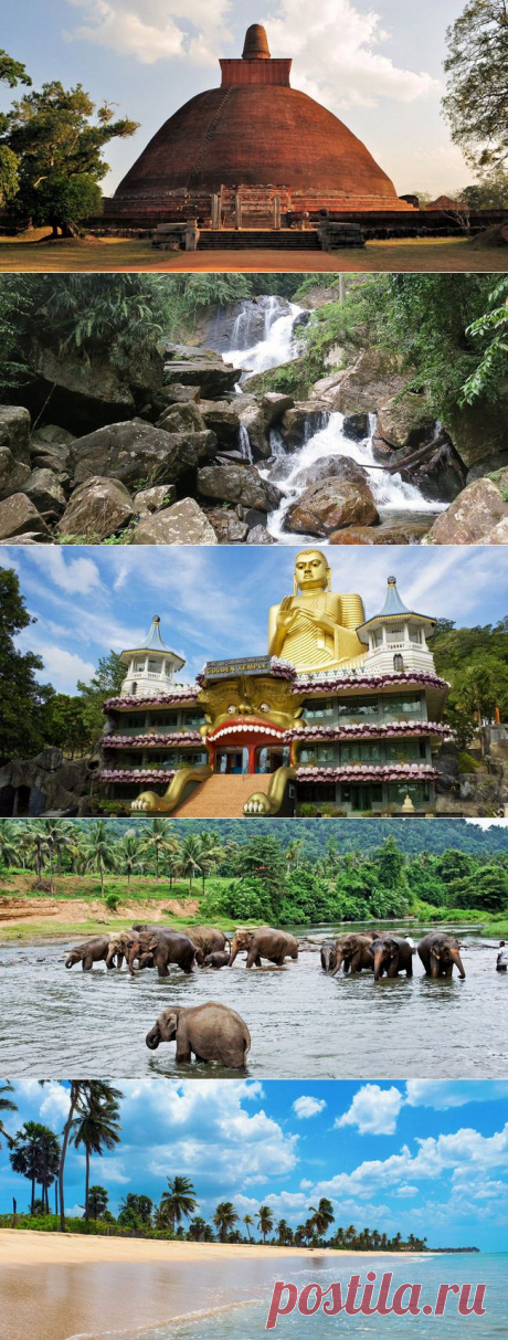 6 причин уехать на Шри-Ланку