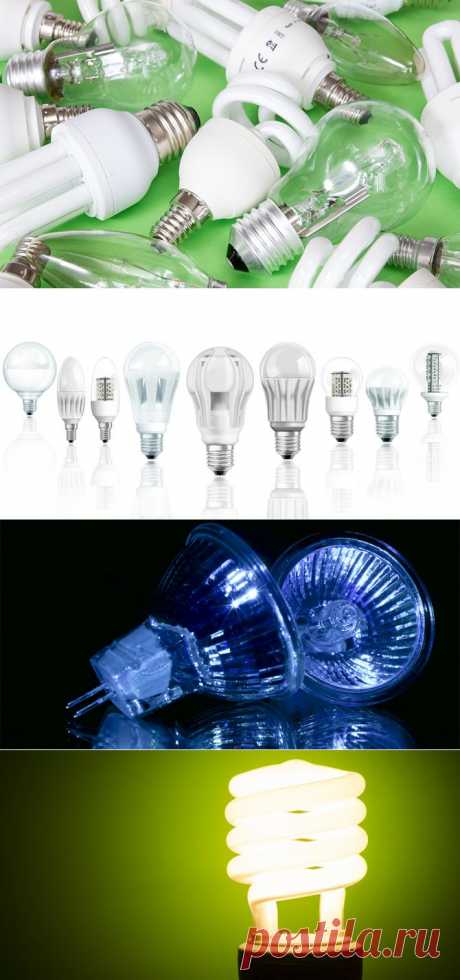 Recycle - Ртутные, светодиодные и обычные: какие лампочки самые опасные