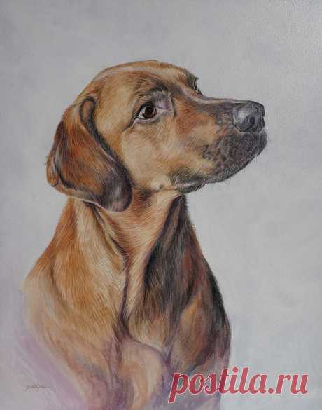 Hound Dog Portrait by Gail Dolphin Hound Dog Portrait Painting by Gail Dolphin