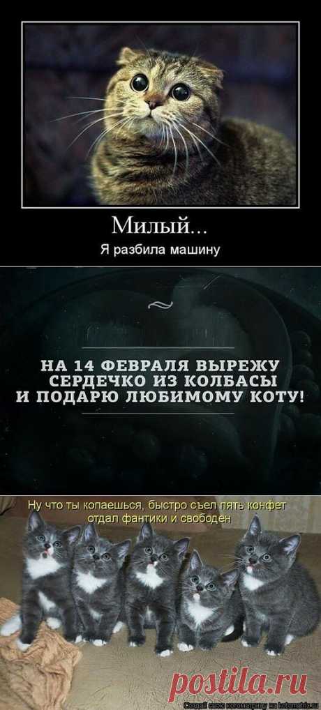 Мой Мир@Mail.Ru