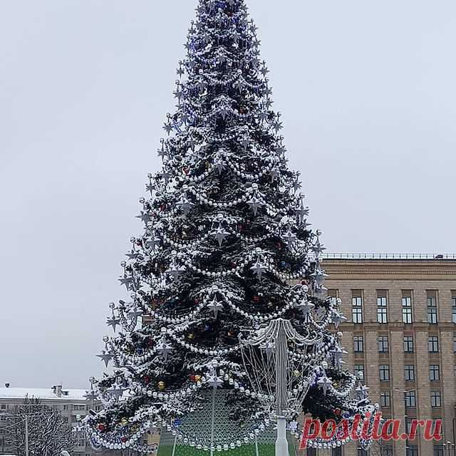 Photo by voronezh_top1 in Voronezh. На изображении может находиться: новогодняя елка, небо, дерево и на улице.