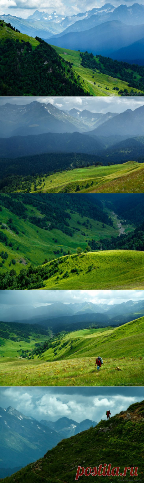 На изумрудных склонах Кавказа. Фотограф Илья Степанов - Фотоискусство