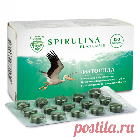 Спирулина - Фитосила®, № 120 таблеток: цены, отзывы, инструкция по применению