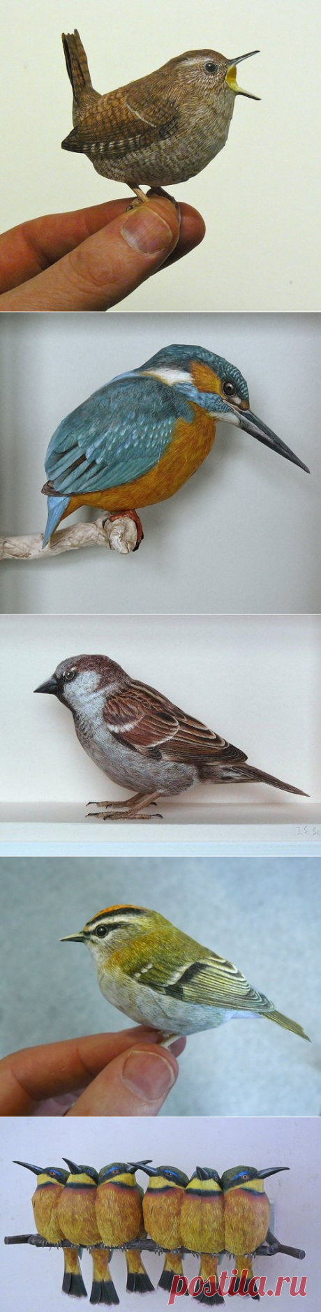 Сверхреалистичные бумажные 3D-модели птиц Йохана Шерфта