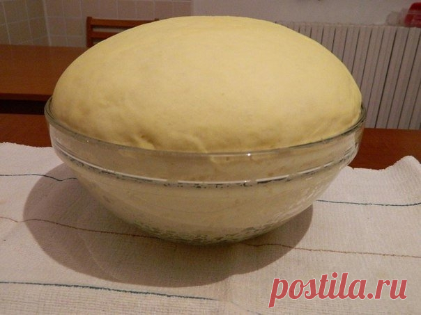 Как приготовить обалденное тесто для пирогов, пирожков и пиццы - рецепт, ингредиенты и фотографии