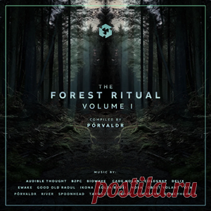 Various Artists - The Forest Ritual, Vol. 1 | 4DJsonline.com