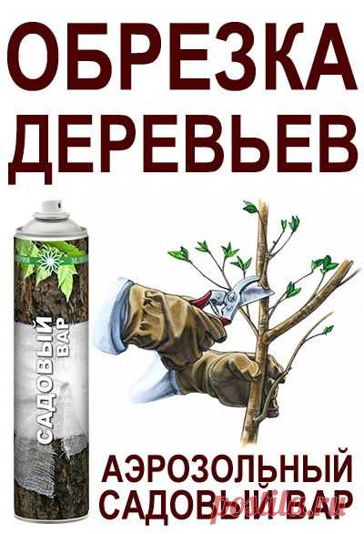 Обрезка деревьев | Садово-Дачниково