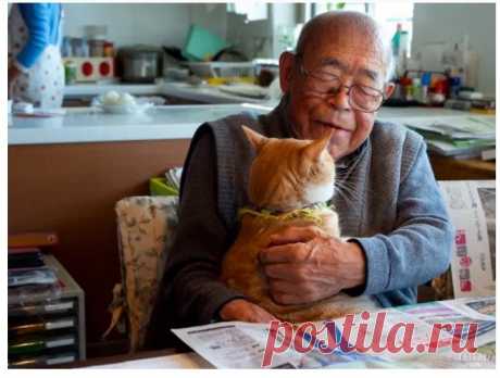 Фотограф вернула вкус к жизни своему 94-летнему дедушке, подарив ему котёнка 
Жительница Токио Акико Ямагучи работает фотографом-документалистом под псевдонимом DuPont. С детства и по сей день она часто снимала своего 94-летнего дедушку Джиджи в компании рыжего кота по кличке …