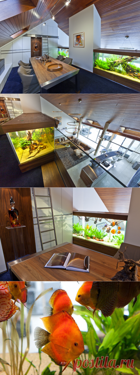 Дом с аквариумом! Просто дом с аквариумом.