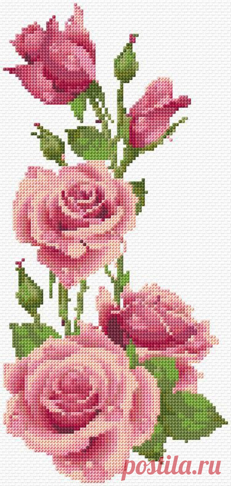 схема вышивки роз