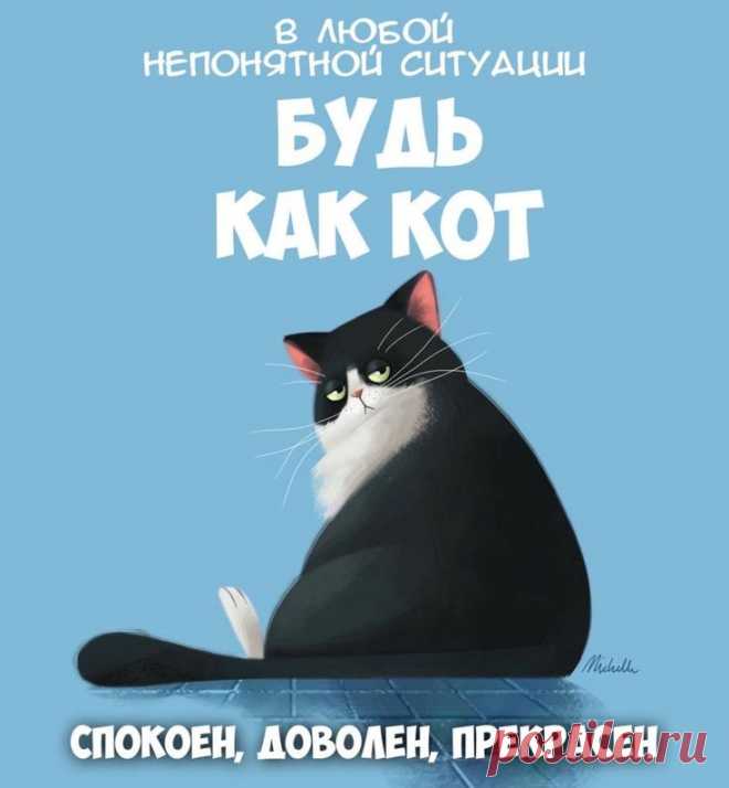 В любой непонятной ситуации (открытка 933): Бесплатные картинки &#8226; Otkrytki.Top