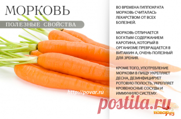 Морковь полезные свойства
