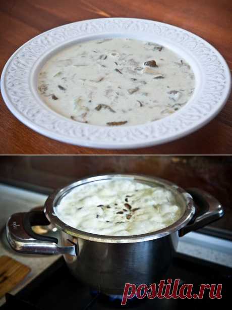 Грибной суп со сливками | Четыре вкуса