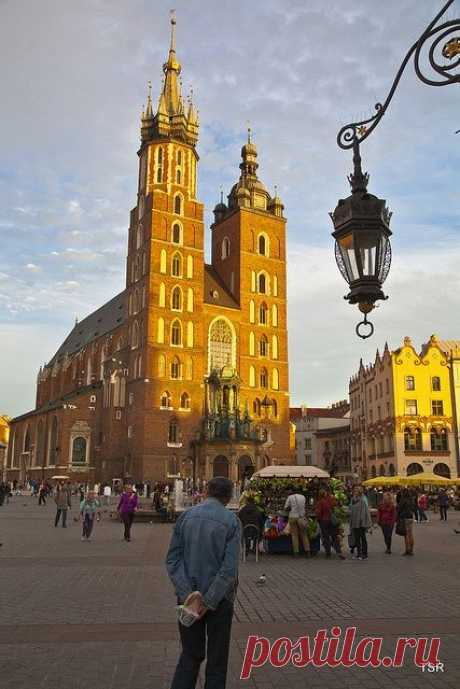 St. Mary's Basilica and market square, Kraków, Poland,  
flickr от doveoggi  |  Pinterest: инструмент для поиска и хранения интересных идей