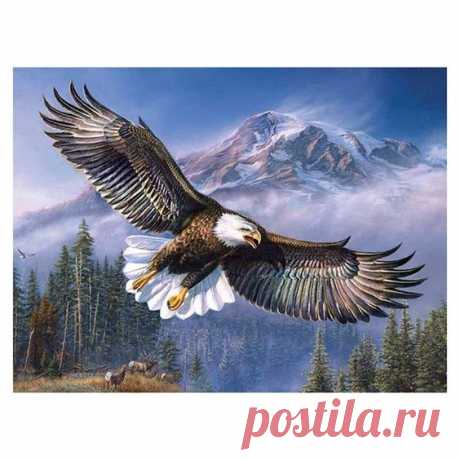 Flying Eagle Stamped Cross Stitch Kits 3