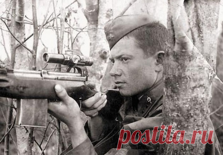 Почему немецкие стрелки проигрывали дуэли советским снайперам - Любители истории - медиаплатформа МирТесен