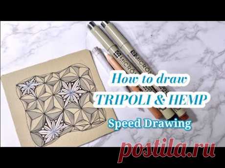 How to draw TRIPOLI & HEMP/Speed Drawing