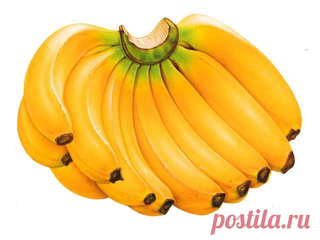 Внимание: бананы! / Домоседы