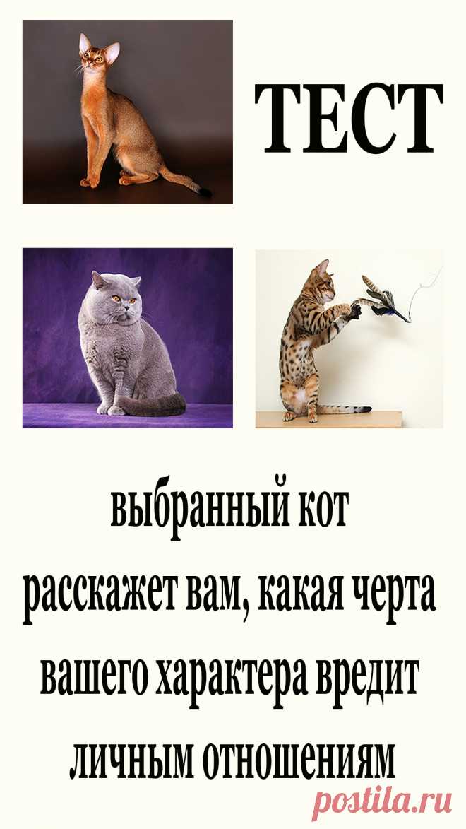 Предлагаем пройти визуальный тест, который поможет вам понять, какая ...