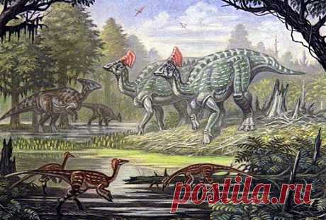 Предок тираннозавра и гигантский лебедь: пять российских динозавров | Bixol.Ru